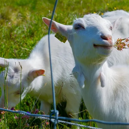 Charming 3-bedroom With Great Views! *