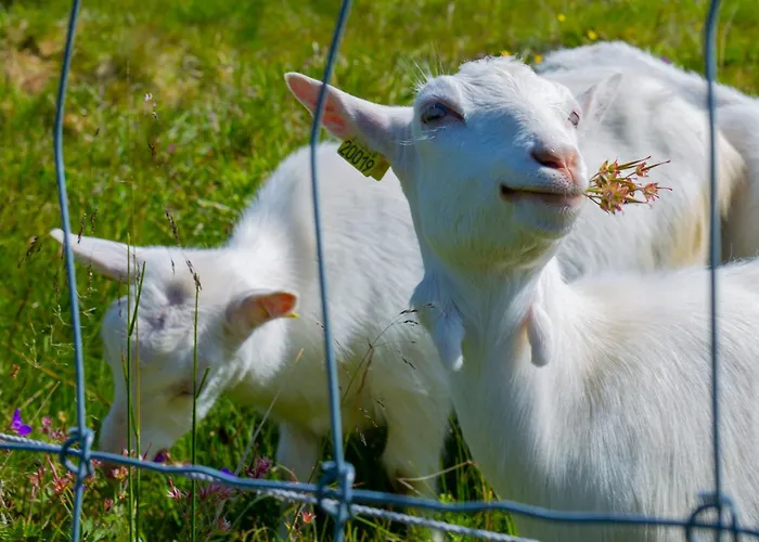 Charming 3-bedroom With Great Views! *